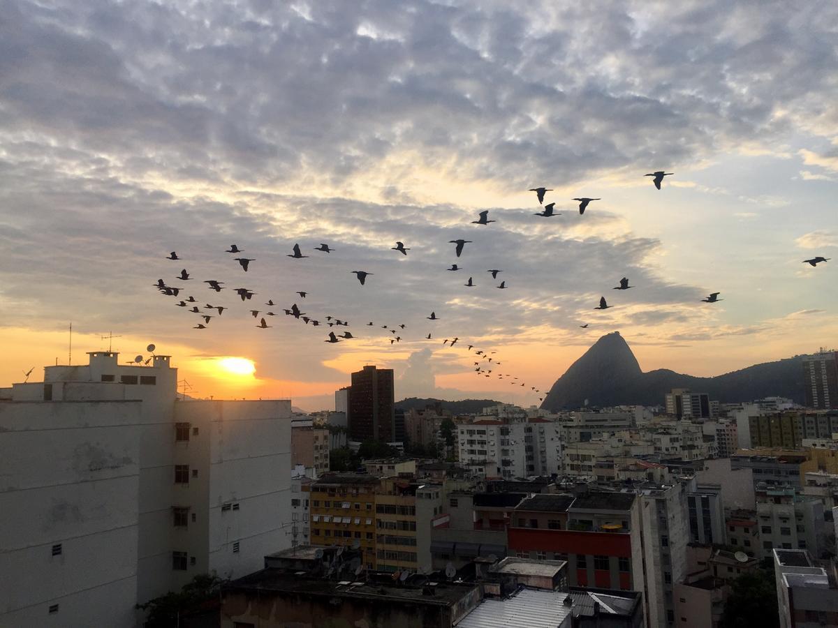 Loft Catete Apartment Rio de Janeiro Exterior photo